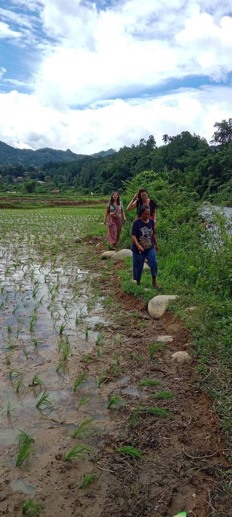 Toraja Sanggalangi Homestay Rantepao Exterior foto